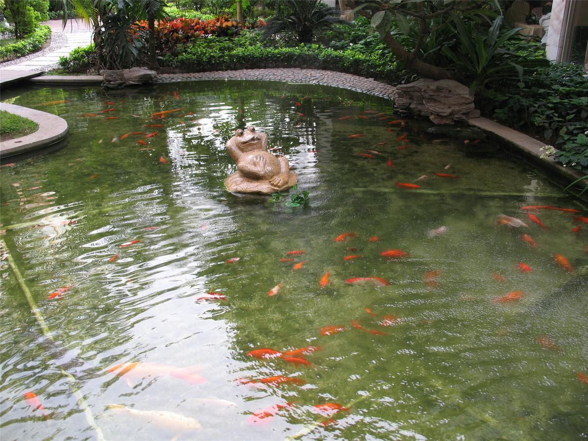 Jiangyue Hotel Canton Esterno foto